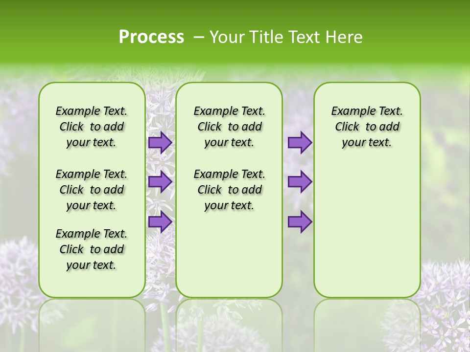 Onion Garlic Macro PowerPoint Template