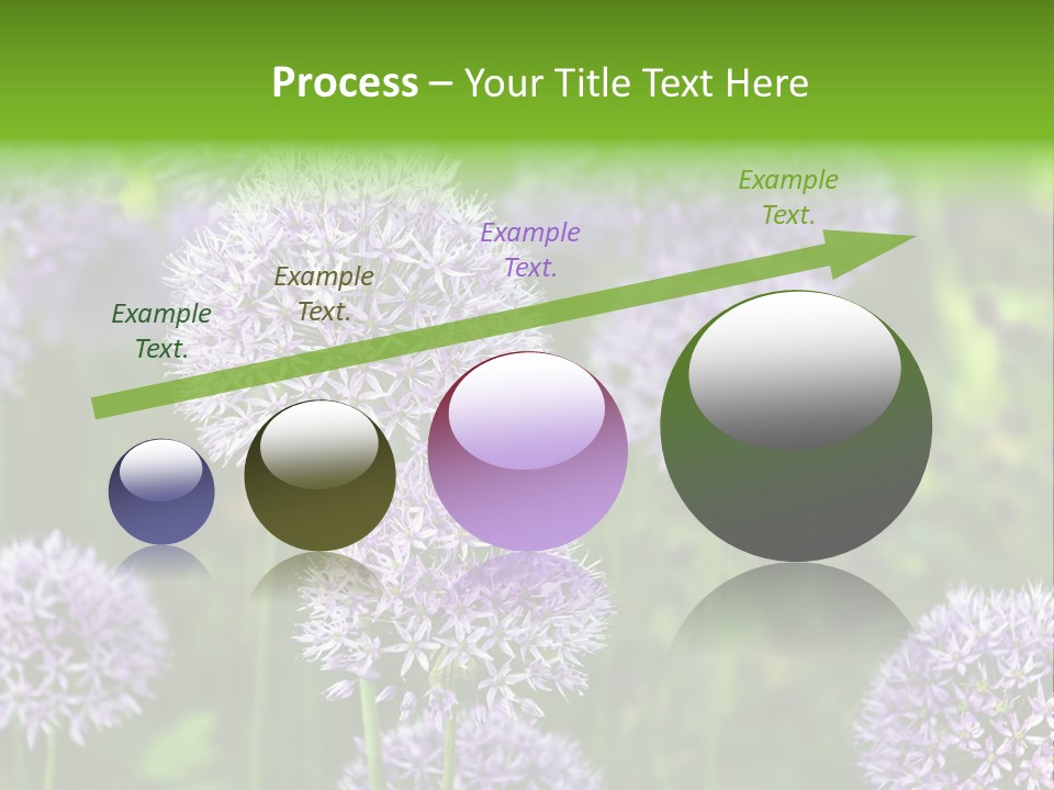 Onion Garlic Macro PowerPoint Template