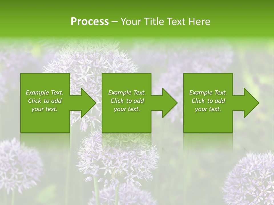 Onion Garlic Macro PowerPoint Template