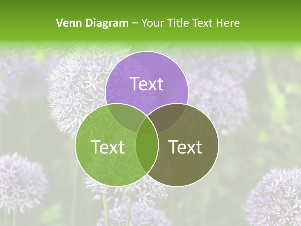 Onion Garlic Macro PowerPoint Template