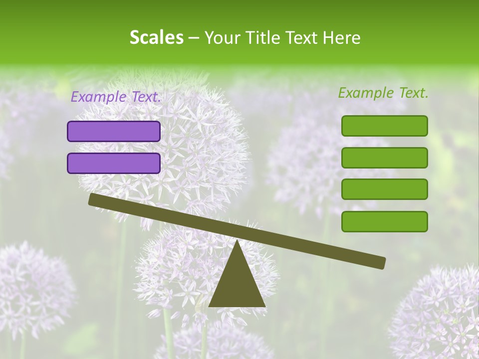 Onion Garlic Macro PowerPoint Template