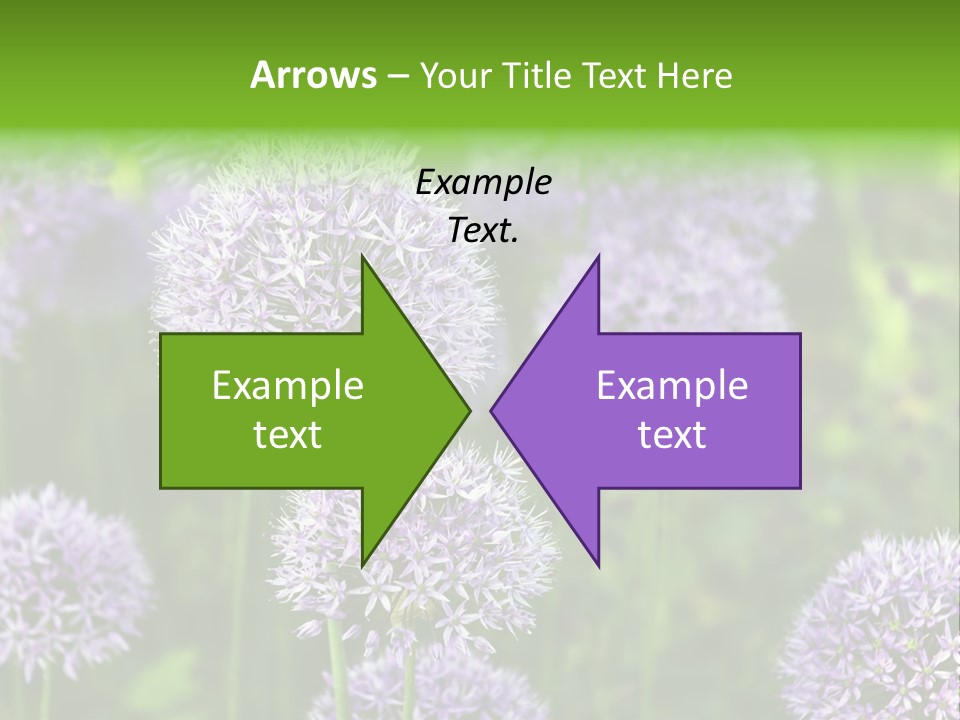 Onion Garlic Macro PowerPoint Template