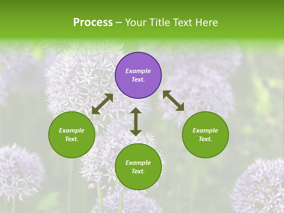 Onion Garlic Macro PowerPoint Template