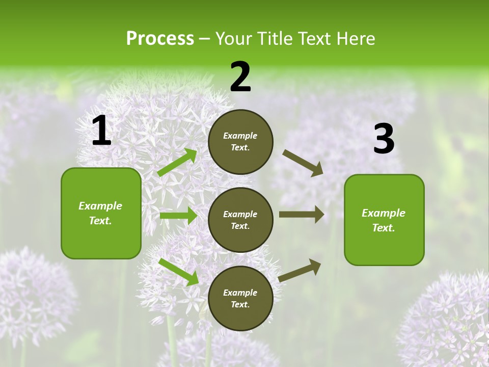 Onion Garlic Macro PowerPoint Template