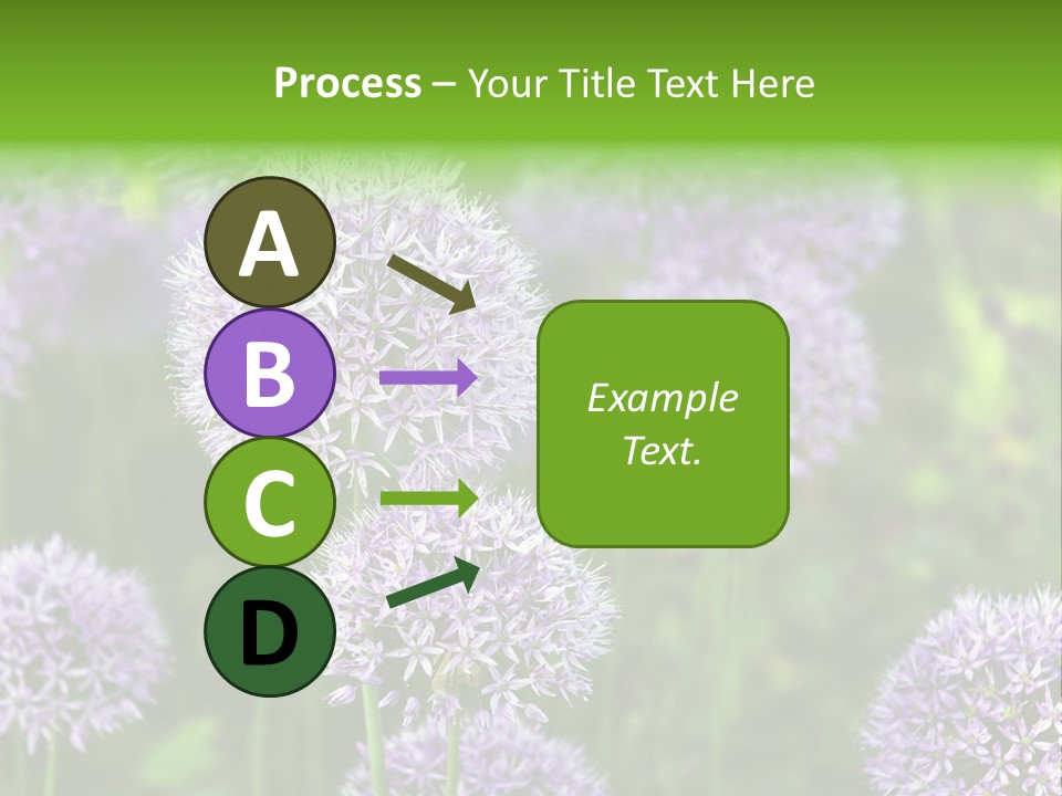 Onion Garlic Macro PowerPoint Template