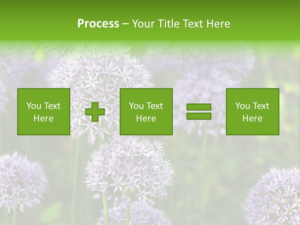 Onion Garlic Macro PowerPoint Template