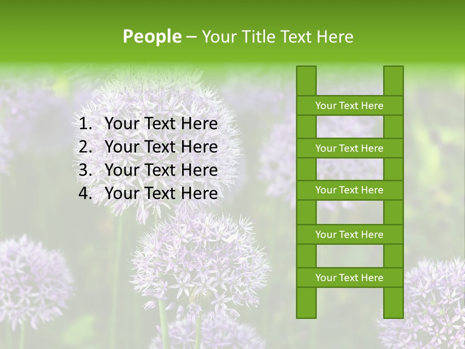 Onion Garlic Macro PowerPoint Template