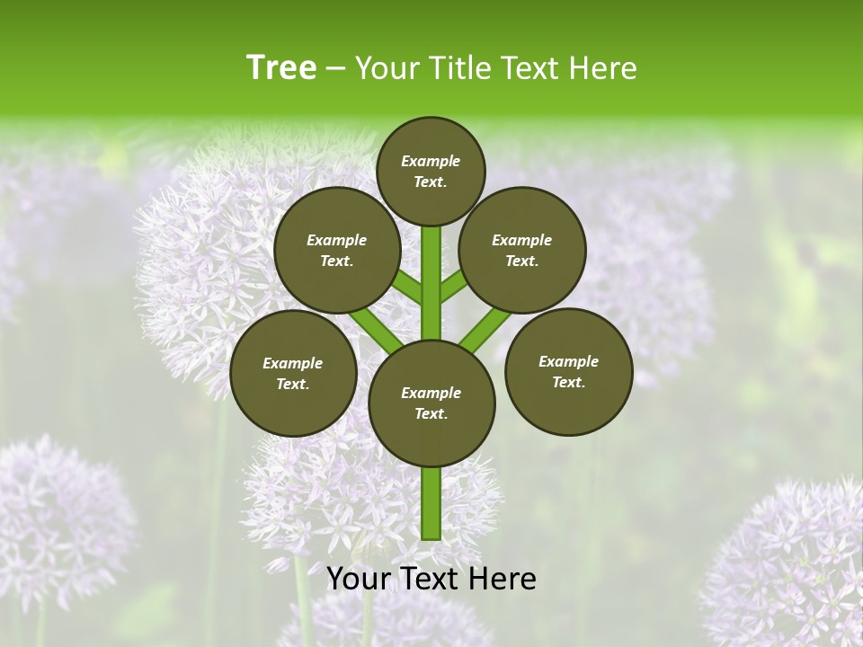 Onion Garlic Macro PowerPoint Template