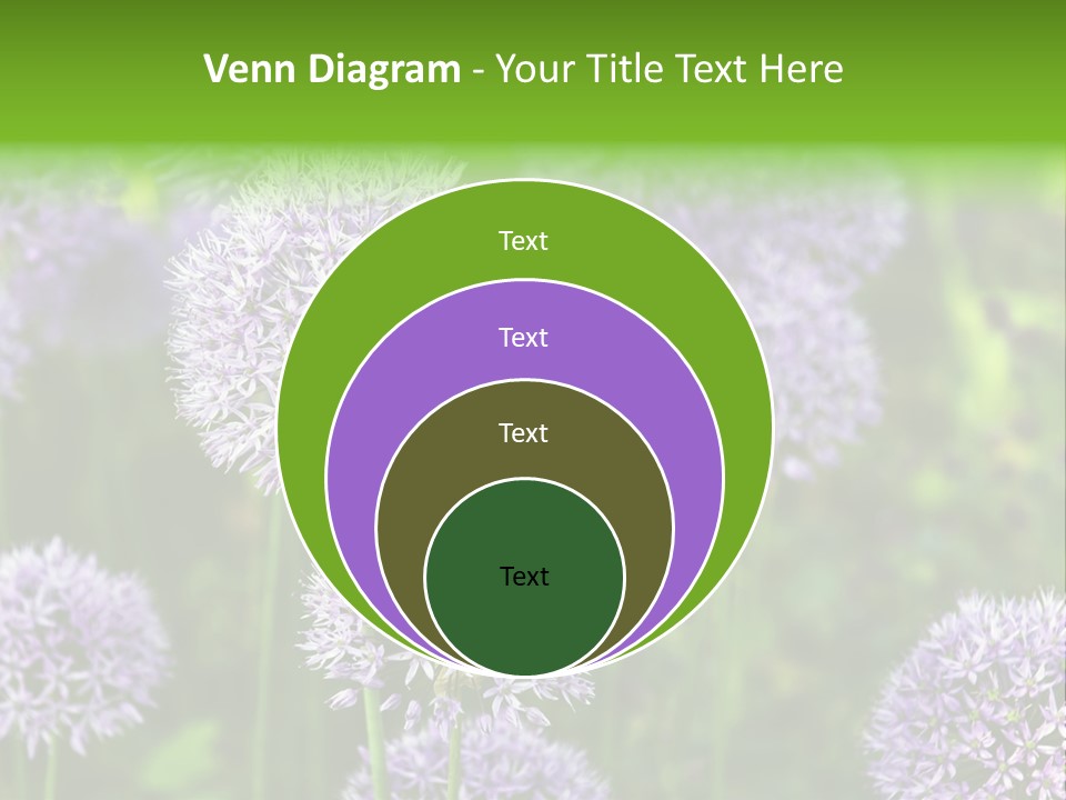 Onion Garlic Macro PowerPoint Template