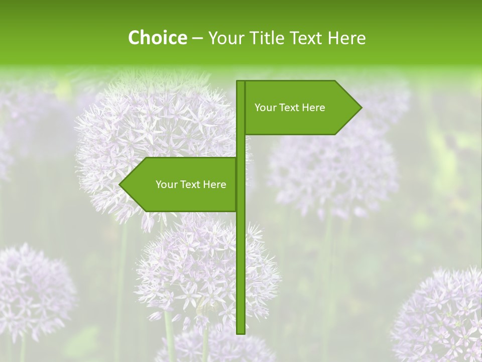 Onion Garlic Macro PowerPoint Template