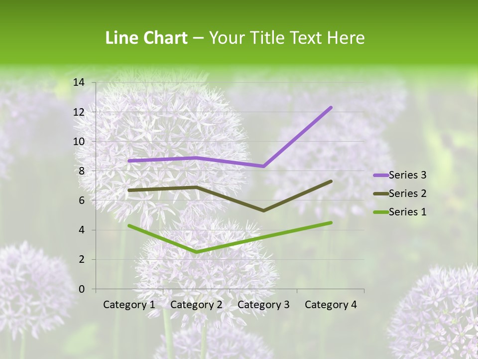 Onion Garlic Macro PowerPoint Template