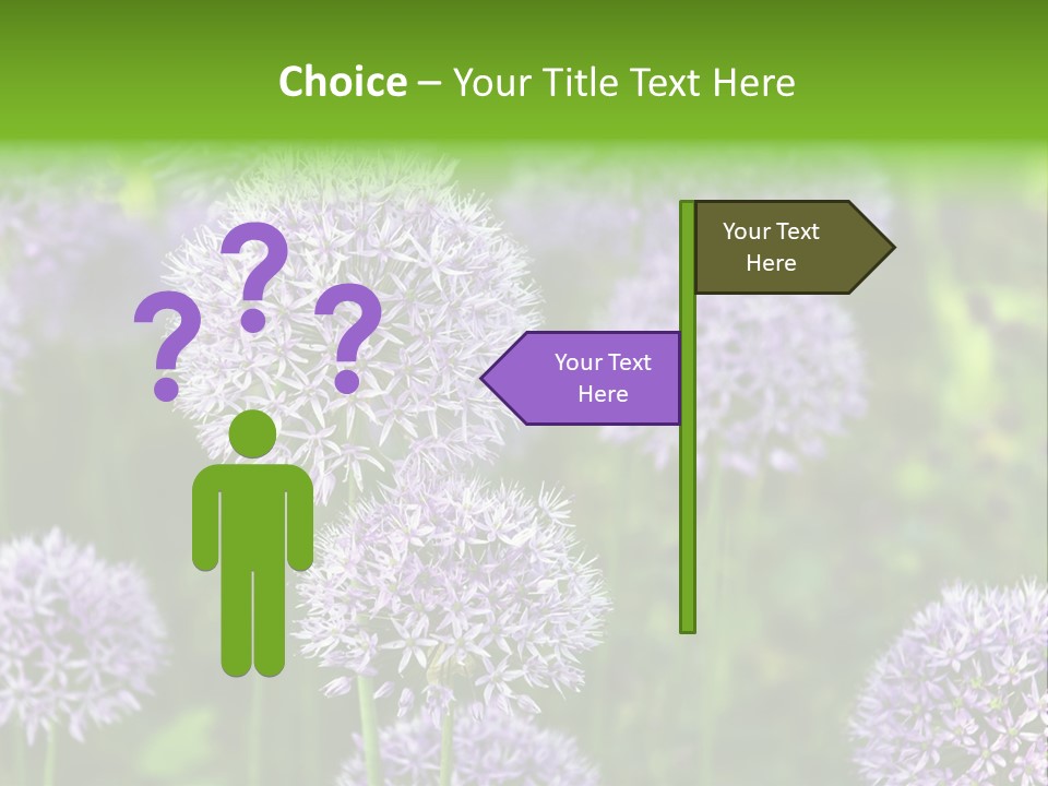 Onion Garlic Macro PowerPoint Template