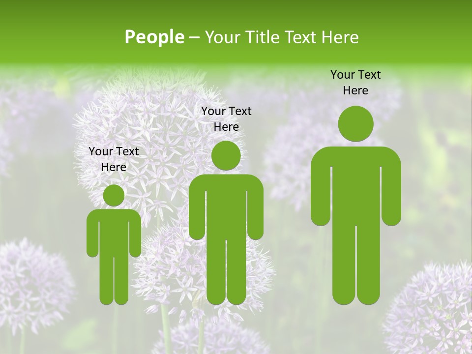 Onion Garlic Macro PowerPoint Template