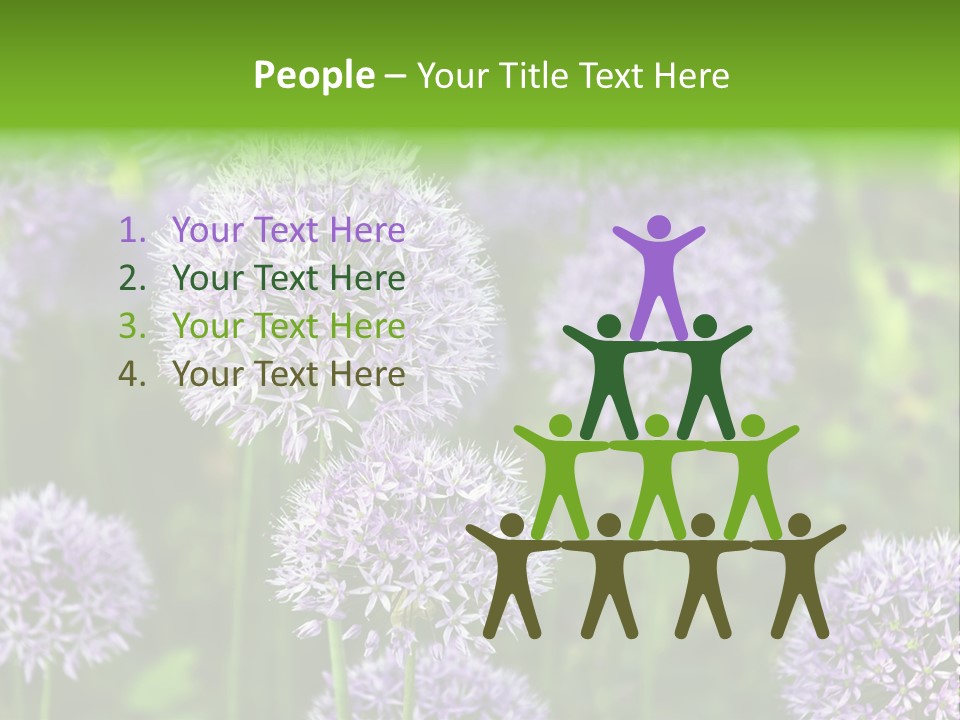 Onion Garlic Macro PowerPoint Template