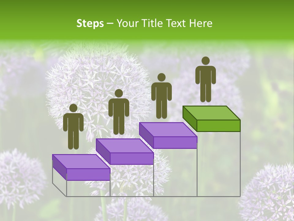 Onion Garlic Macro PowerPoint Template