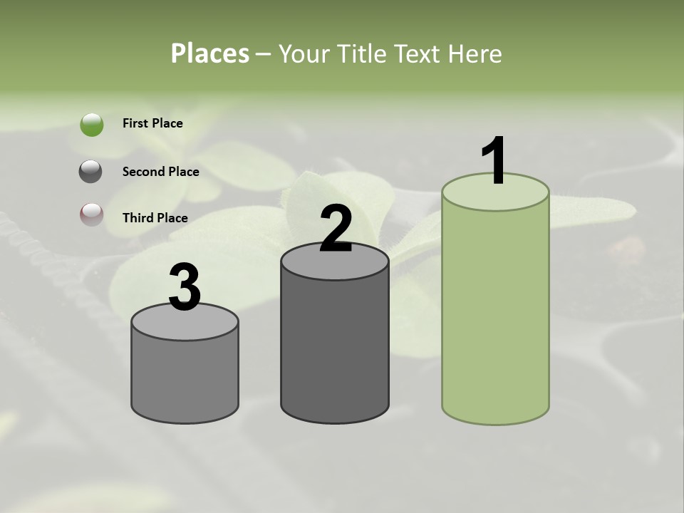 Agriculture Nursery Plant PowerPoint Template
