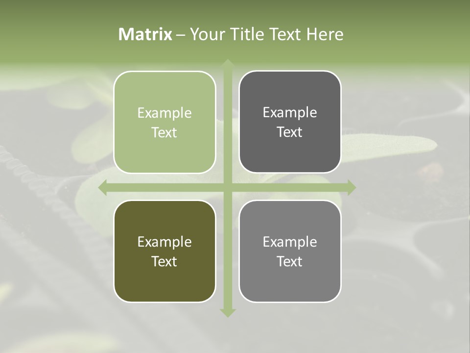 Agriculture Nursery Plant PowerPoint Template