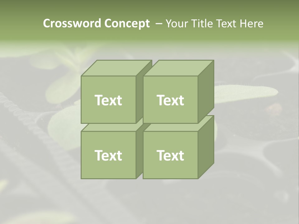 Agriculture Nursery Plant PowerPoint Template