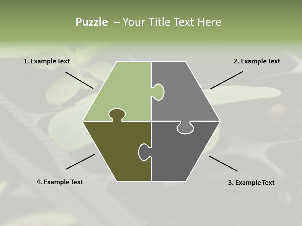 Agriculture Nursery Plant PowerPoint Template