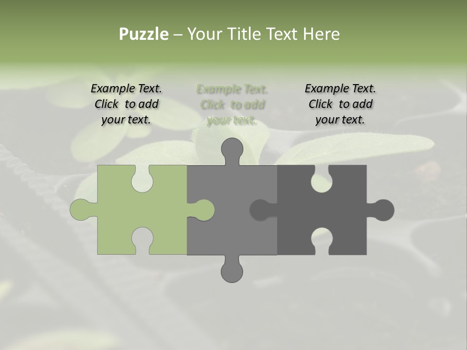 Agriculture Nursery Plant PowerPoint Template