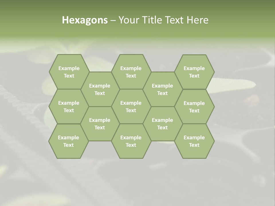 Agriculture Nursery Plant PowerPoint Template