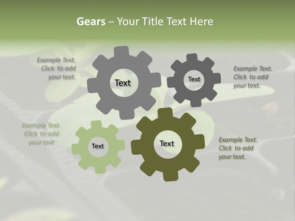 Agriculture Nursery Plant PowerPoint Template