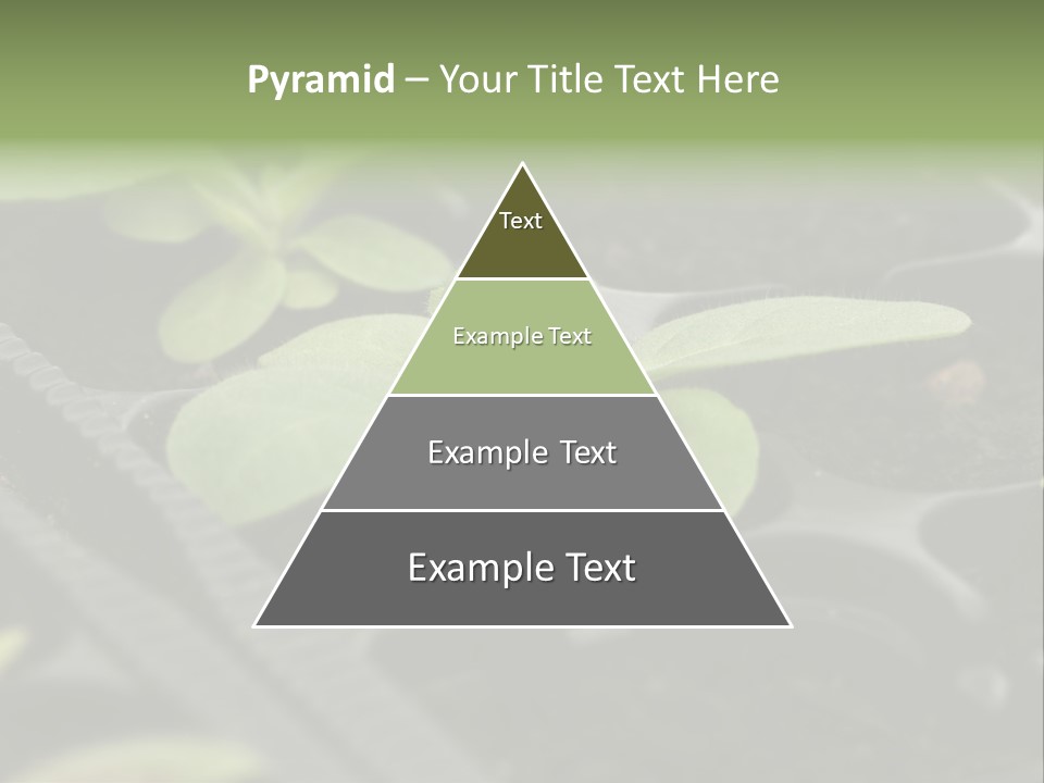 Agriculture Nursery Plant PowerPoint Template
