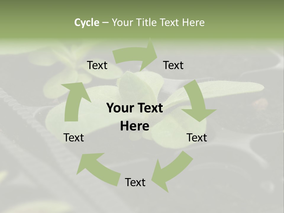 Agriculture Nursery Plant PowerPoint Template