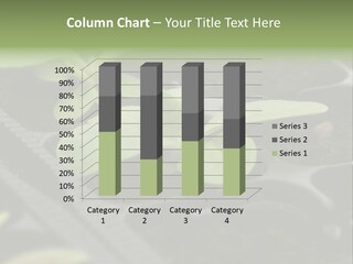 Agriculture Nursery Plant PowerPoint Template