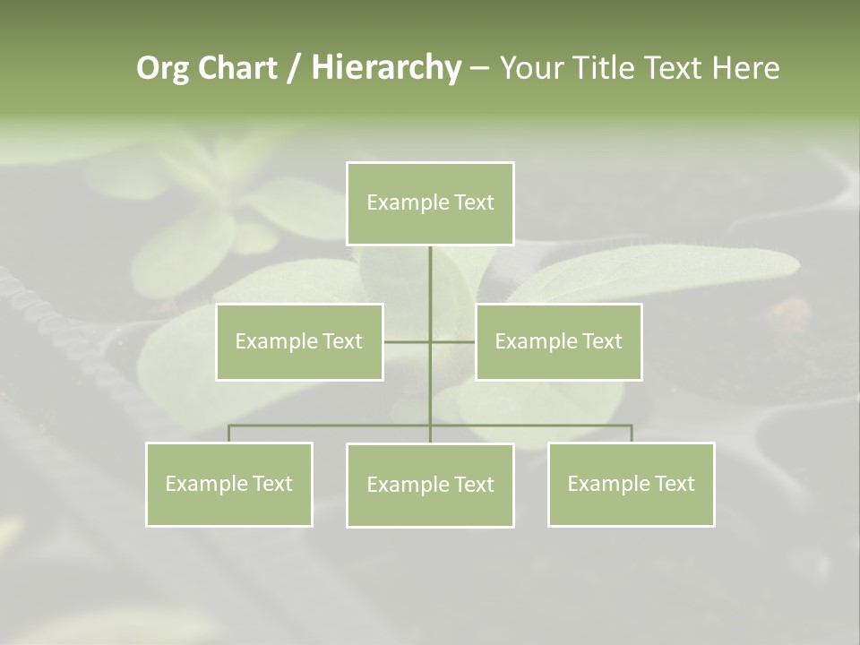 Agriculture Nursery Plant PowerPoint Template