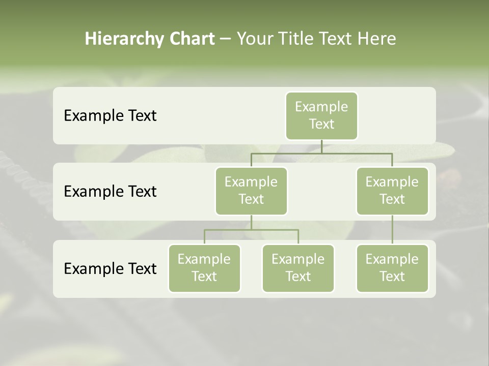 Agriculture Nursery Plant PowerPoint Template