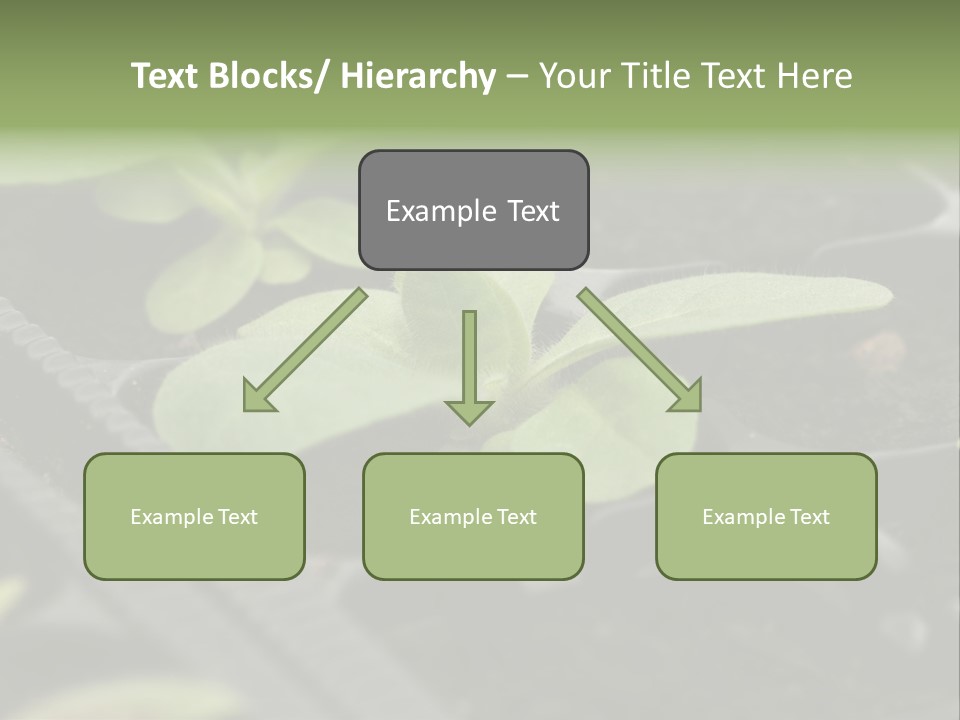 Agriculture Nursery Plant PowerPoint Template
