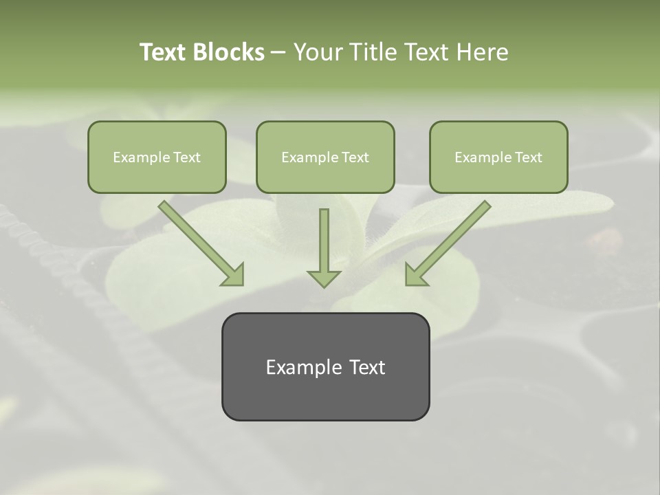 Agriculture Nursery Plant PowerPoint Template