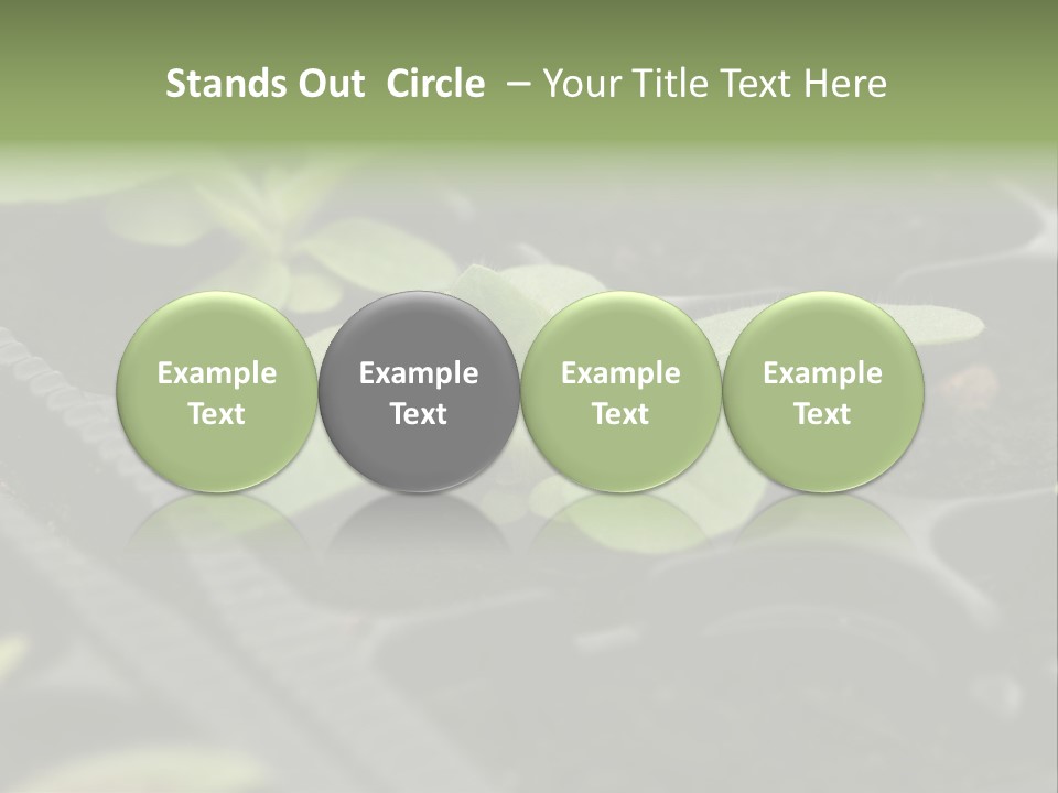 Agriculture Nursery Plant PowerPoint Template