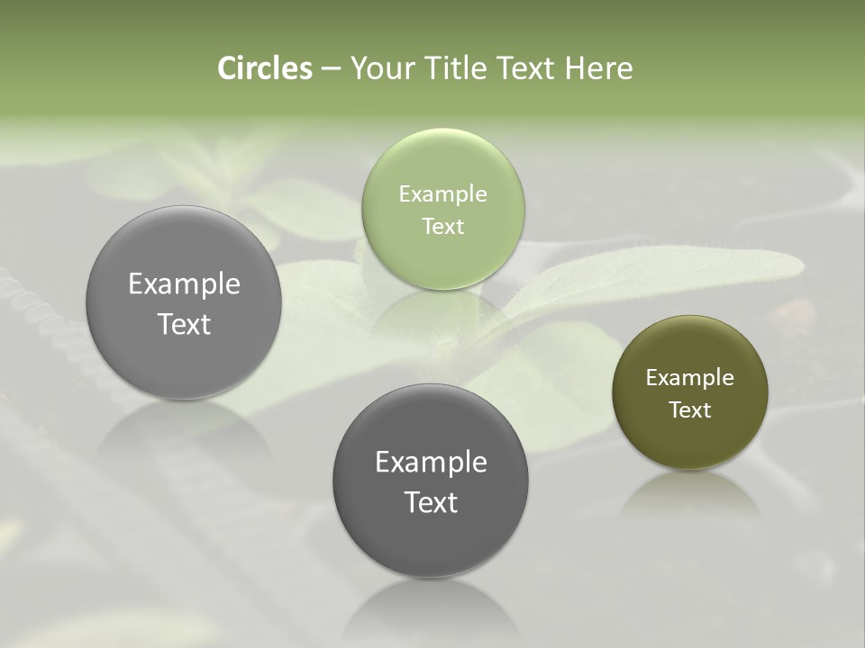 Agriculture Nursery Plant PowerPoint Template