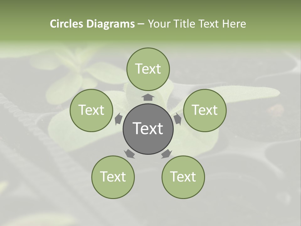 Agriculture Nursery Plant PowerPoint Template