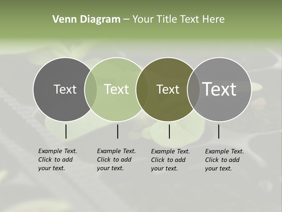 Agriculture Nursery Plant PowerPoint Template