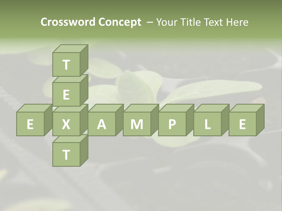 Agriculture Nursery Plant PowerPoint Template