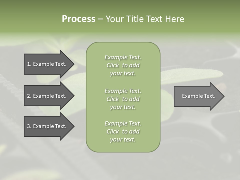 Agriculture Nursery Plant PowerPoint Template