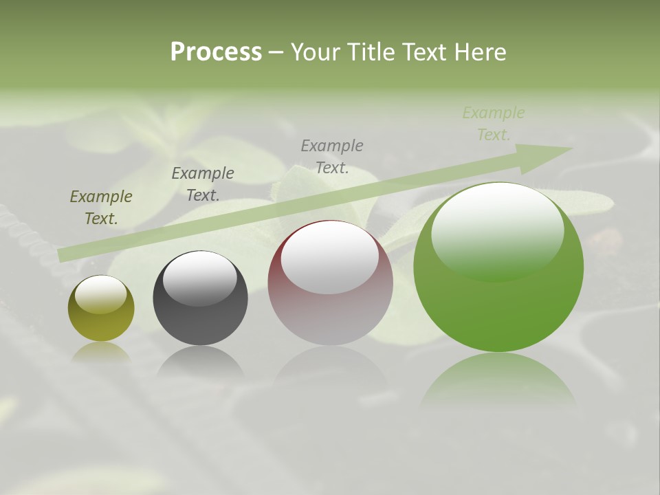 Agriculture Nursery Plant PowerPoint Template
