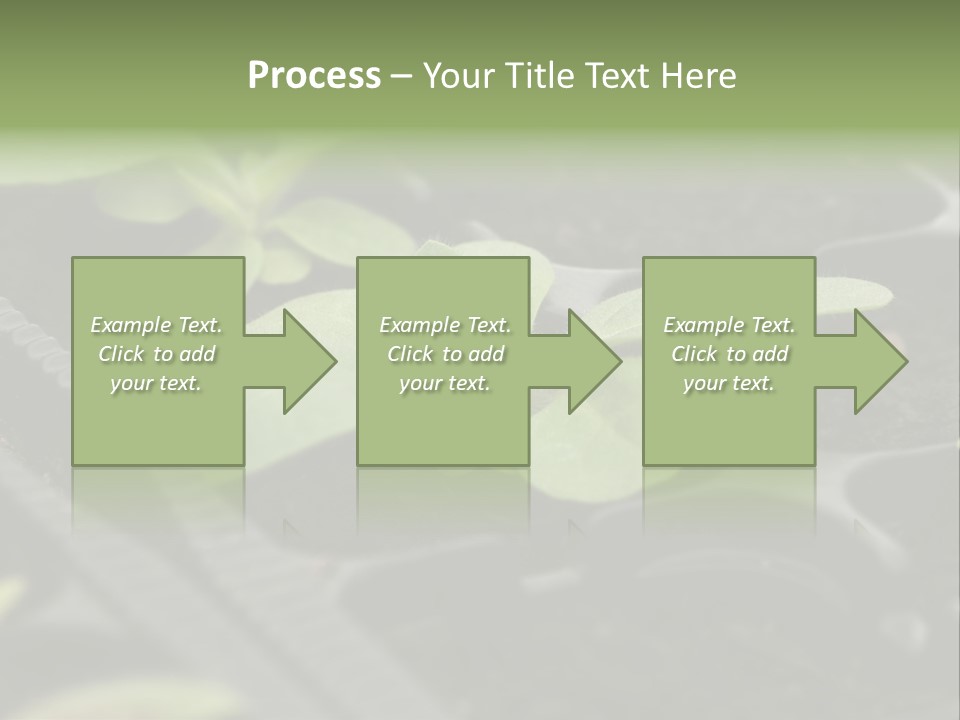 Agriculture Nursery Plant PowerPoint Template