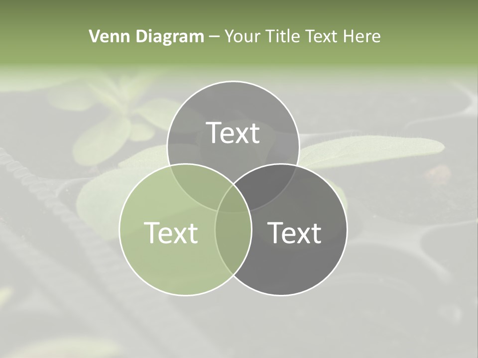 Agriculture Nursery Plant PowerPoint Template
