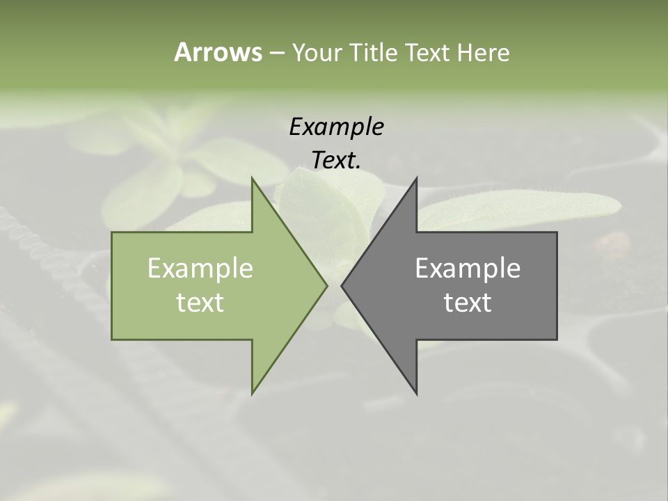 Agriculture Nursery Plant PowerPoint Template