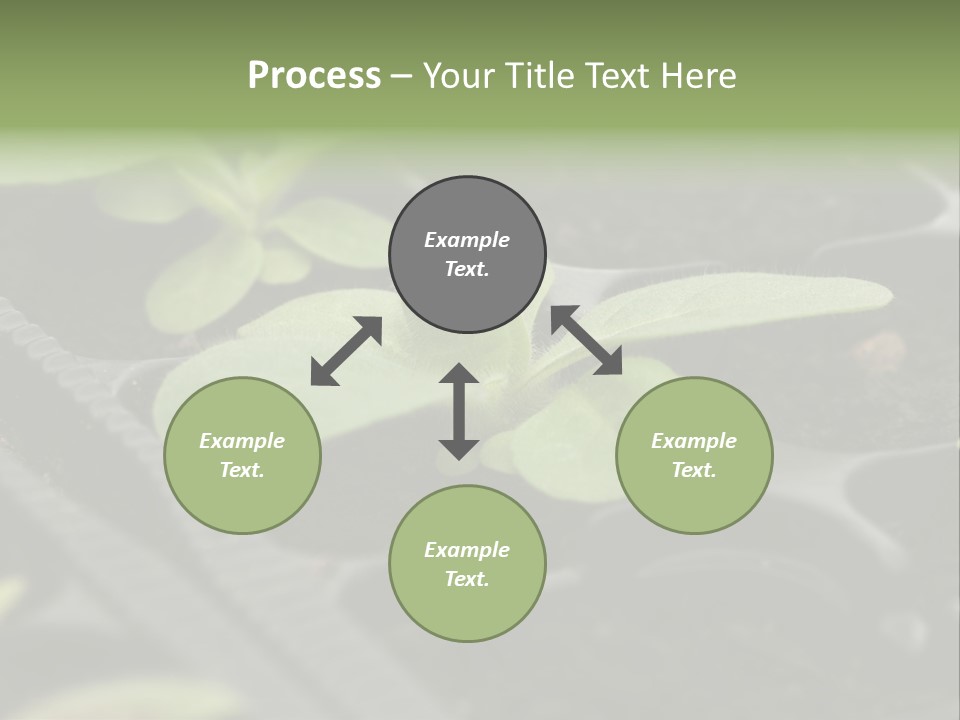 Agriculture Nursery Plant PowerPoint Template