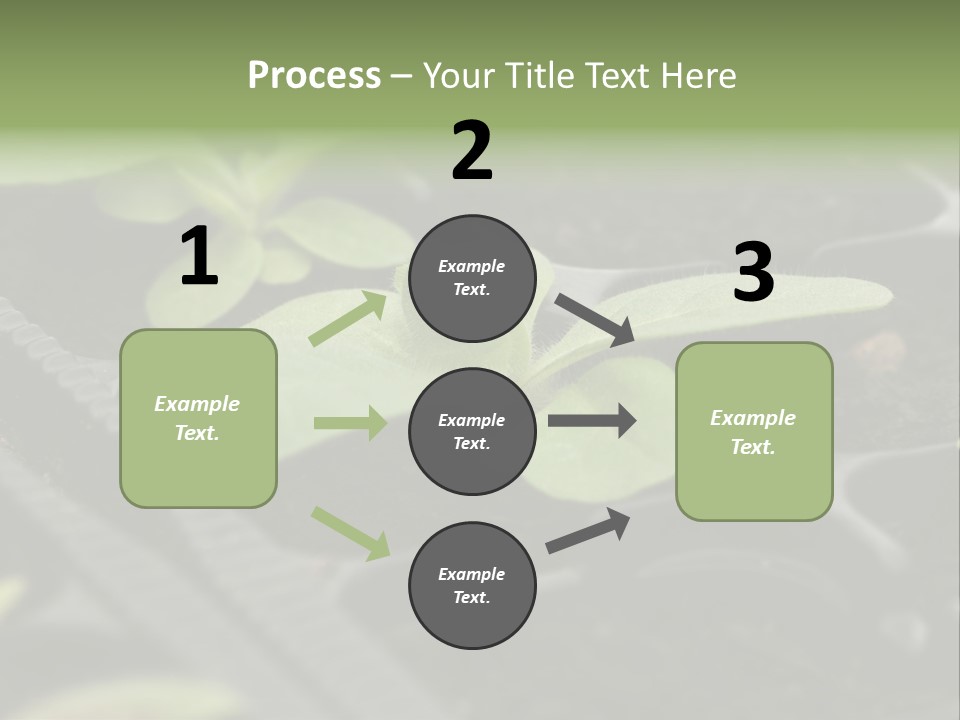 Agriculture Nursery Plant PowerPoint Template