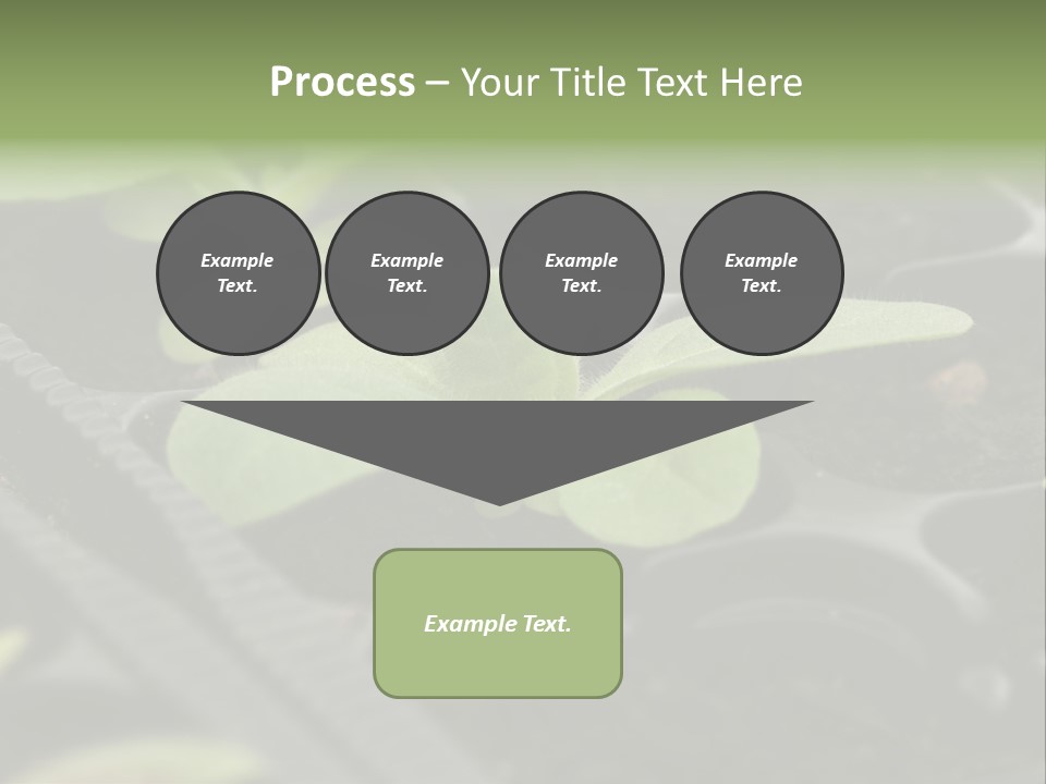 Agriculture Nursery Plant PowerPoint Template