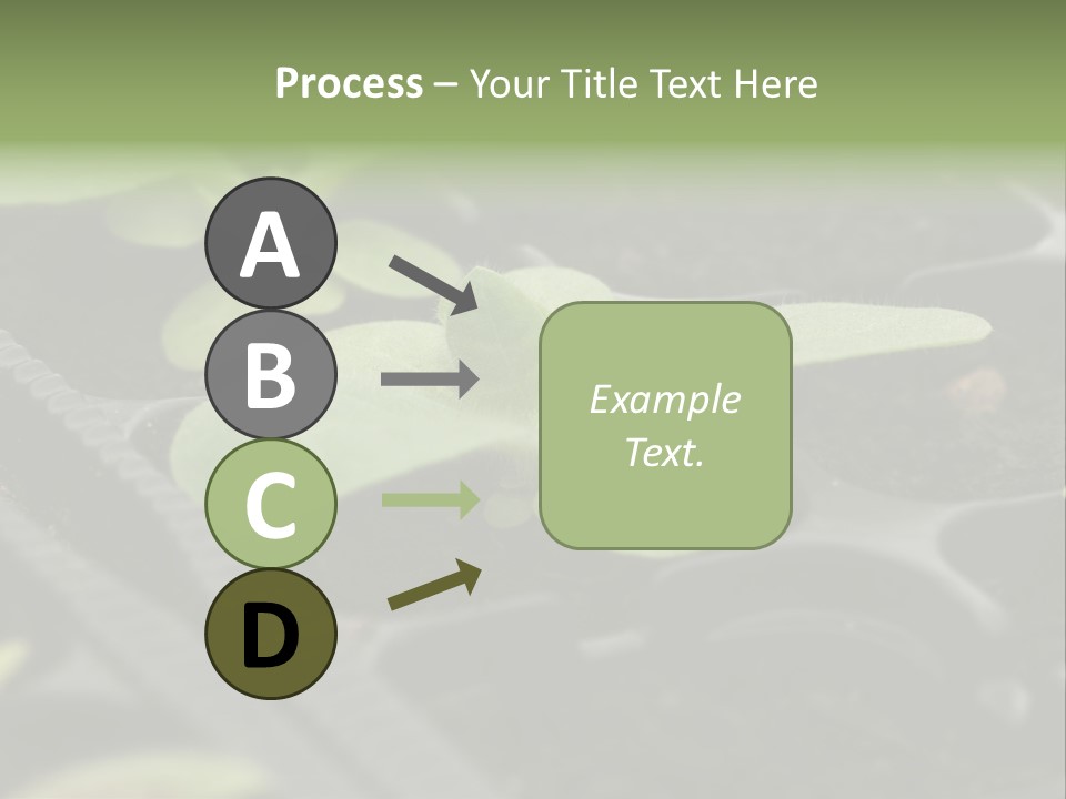 Agriculture Nursery Plant PowerPoint Template
