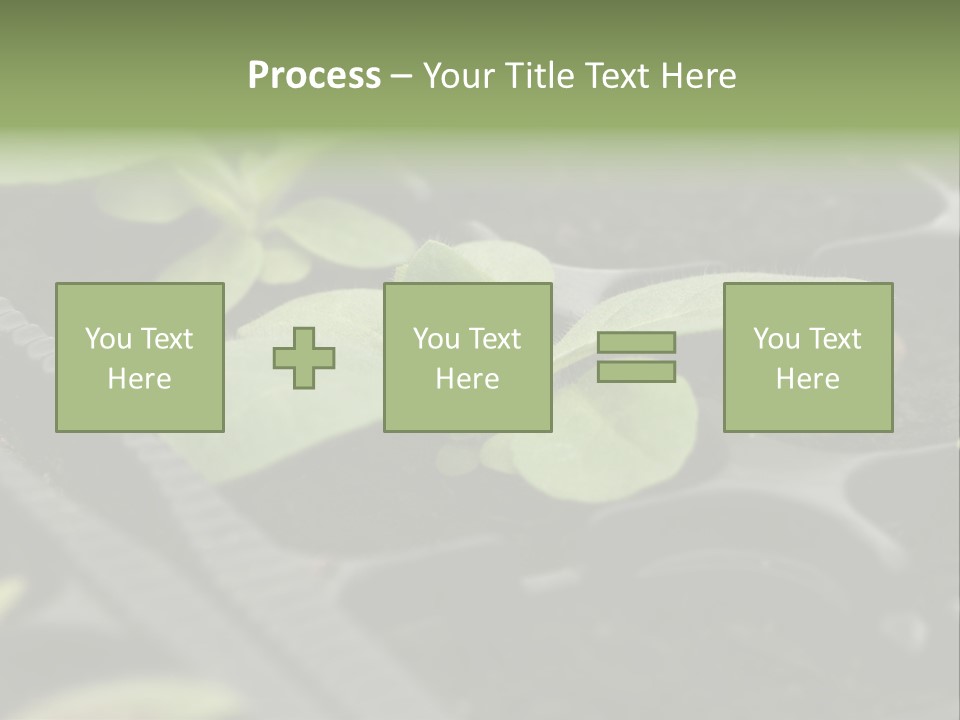 Agriculture Nursery Plant PowerPoint Template