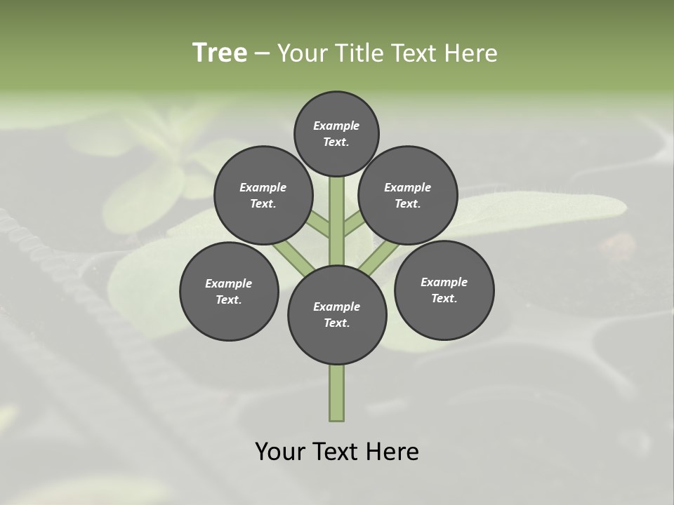 Agriculture Nursery Plant PowerPoint Template