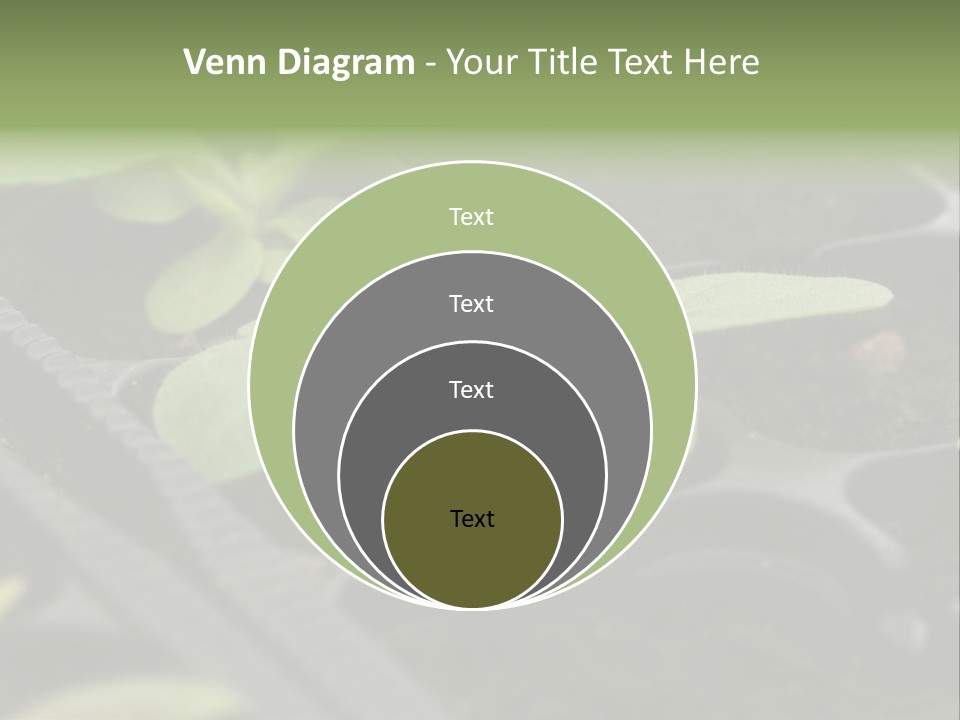 Agriculture Nursery Plant PowerPoint Template